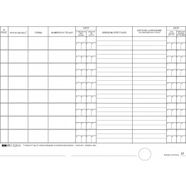 Registro revisione autoveicoli