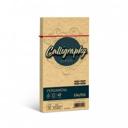 Calligraphy - Buste pergamena C4