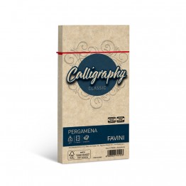 Calligraphy - Buste pergamena C4