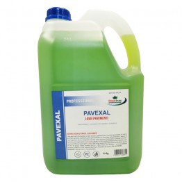 PAVEXAL - Disinfettante pavimenti - HACCP