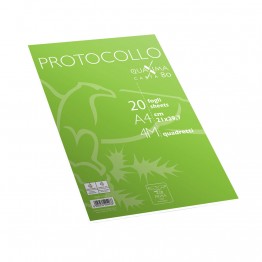 Fogli protocollo