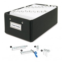 Index Strip - Cavalierini